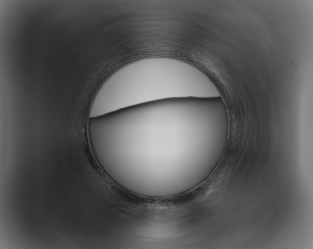 X0000089900545200706281137