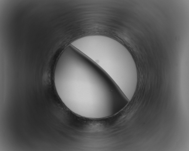 X0000089900547200706281137