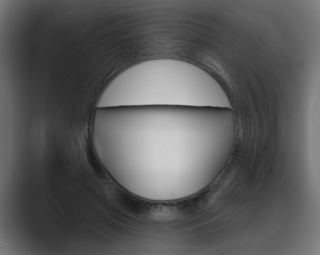 X0000089900549200706281137