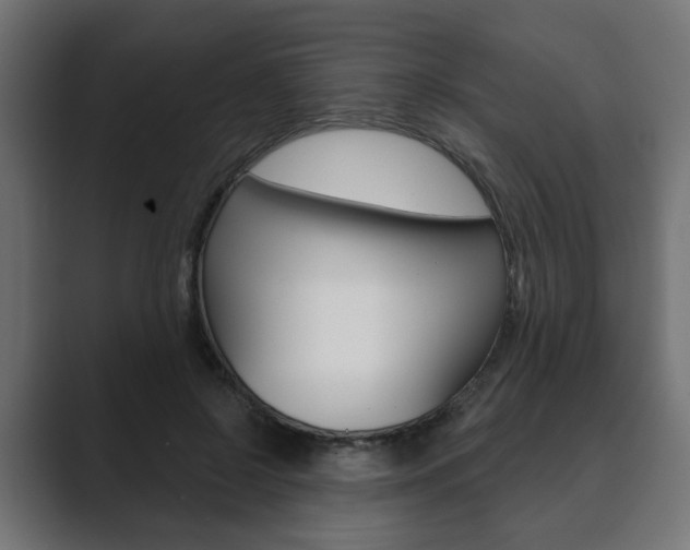 X0000089900550200706281137