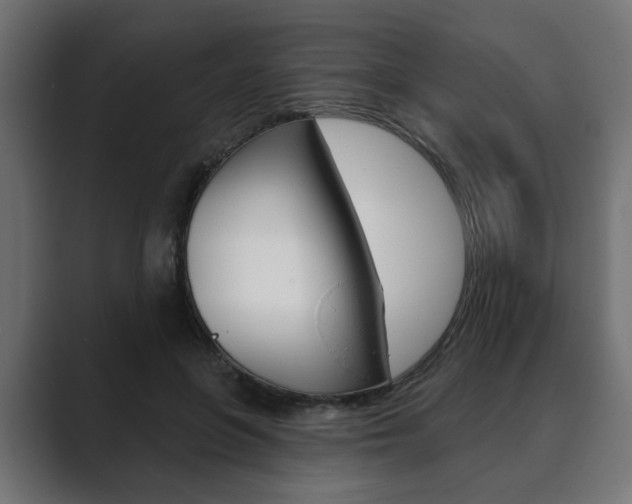 X0000089900551200706281137