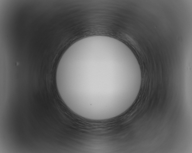 X0000089900552200706281137