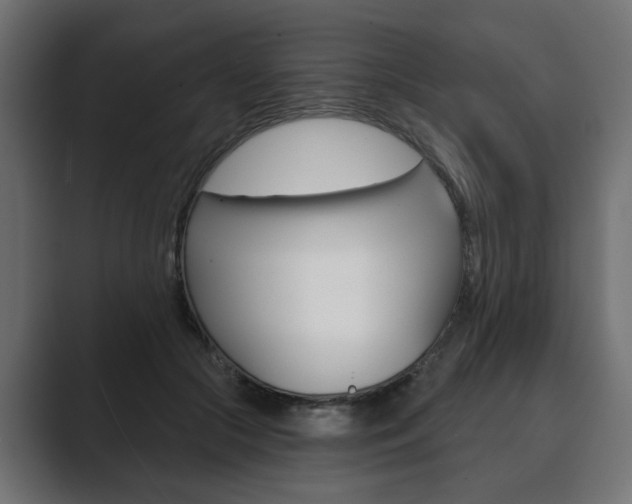 X0000089900553200706281137