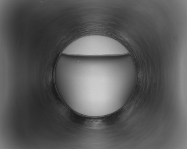 X0000089900554200706281137