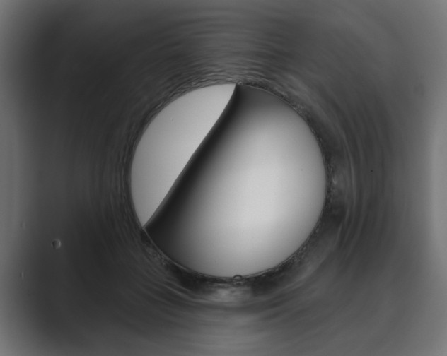 X0000089900555200706281137