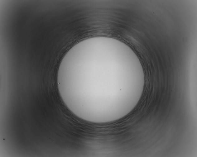 X0000089900556200706281137