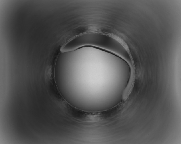 X0000089900560200706281137