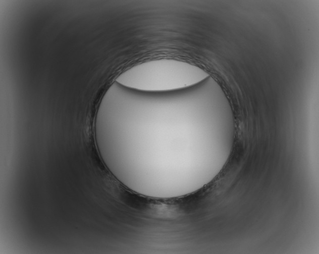 X0000089900561200706281137