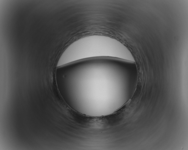 X0000089900562200706281137