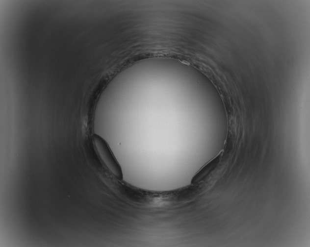 X0000089900564200706281137