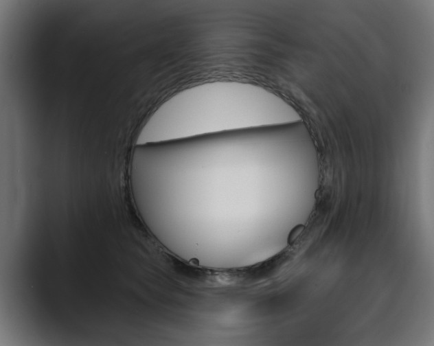 X0000089900565200706281137