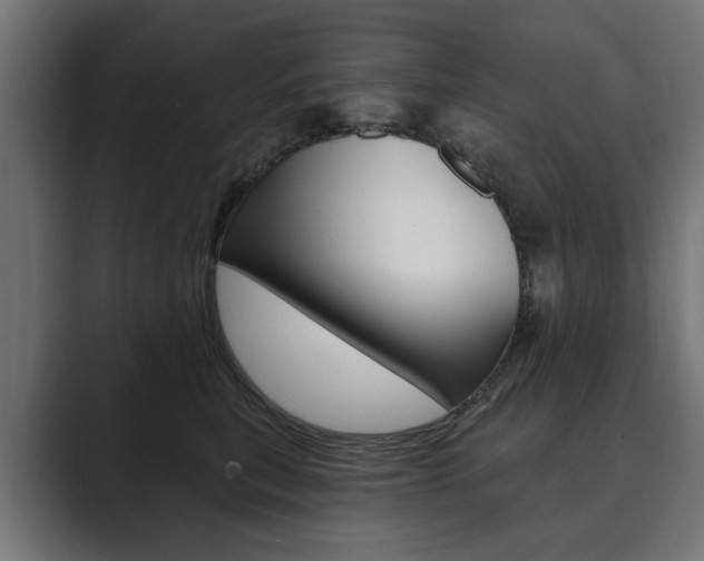 X0000089900567200706281137
