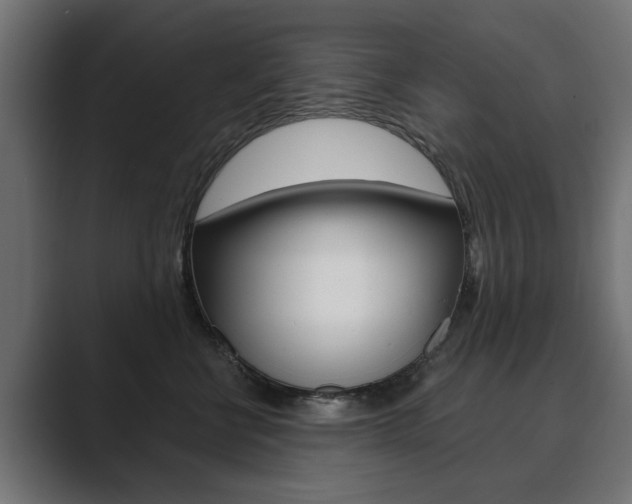 X0000089900570200706281137