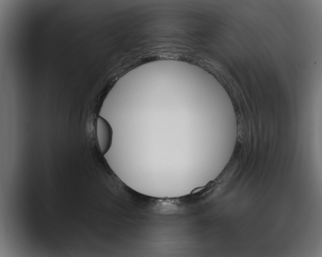 X0000089900573200706281137