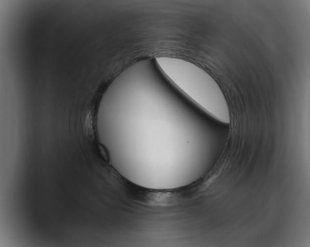 X0000089900575200706281137