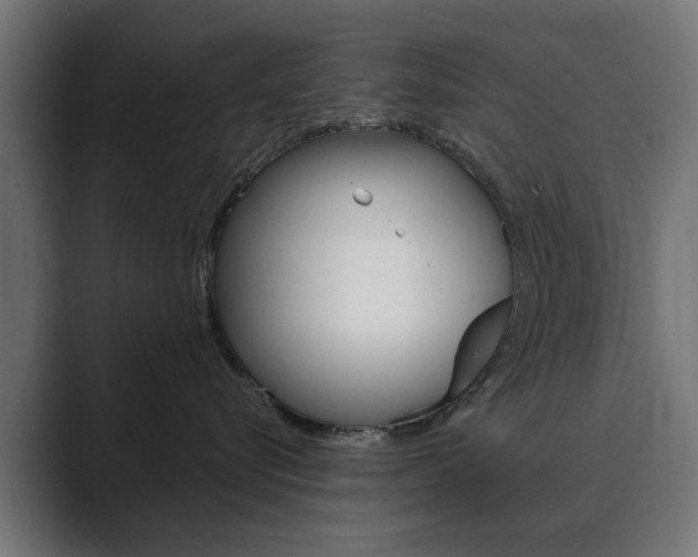 X0000089900576200706281137