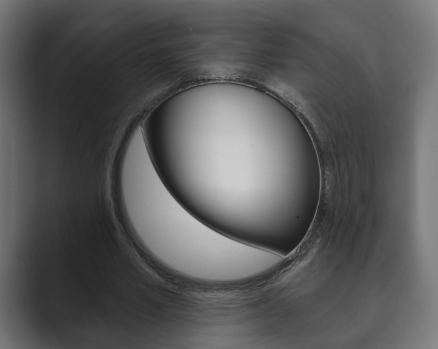 X0000089900581200706281136