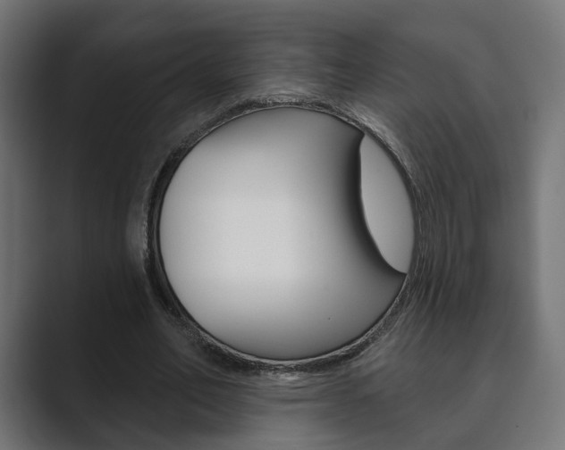X0000089900582200706281136
