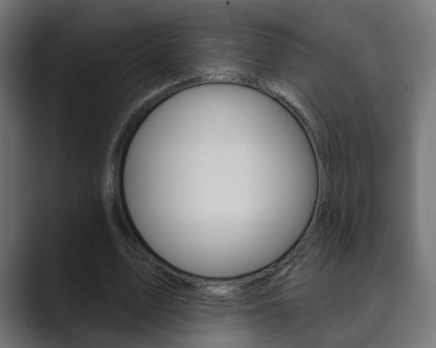 X0000089900583200706281136
