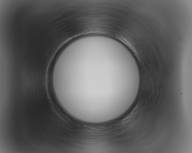 X0000089900584200706281136