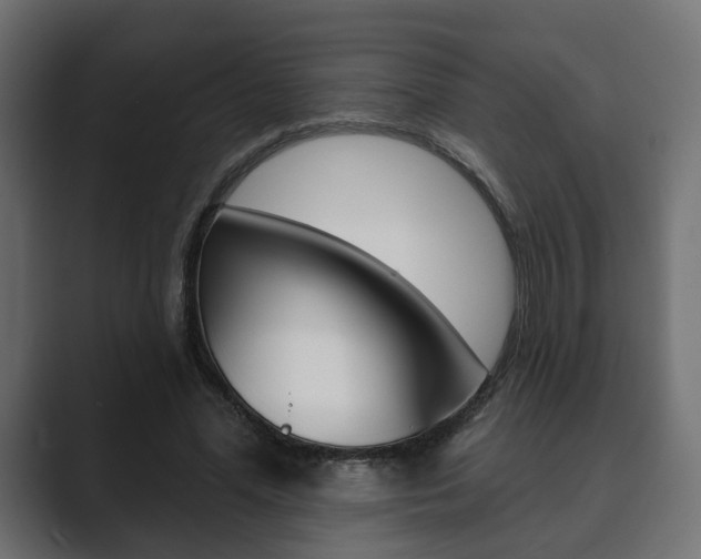 X0000089900588200706281136