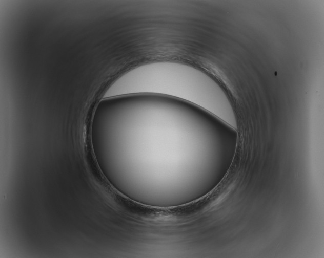 X0000089900589200706281136