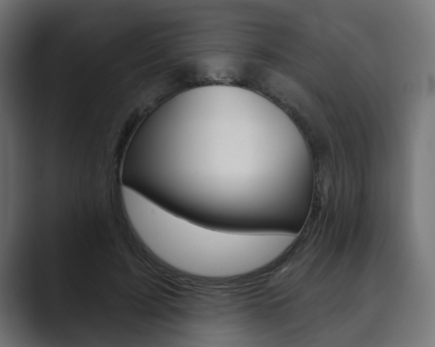 X0000089900595200706281136