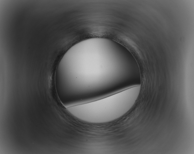 X0000089900596200706281136