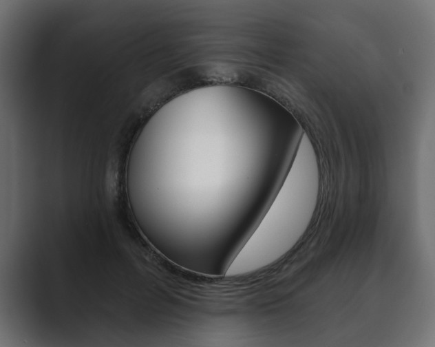 X0000089900600200706281136