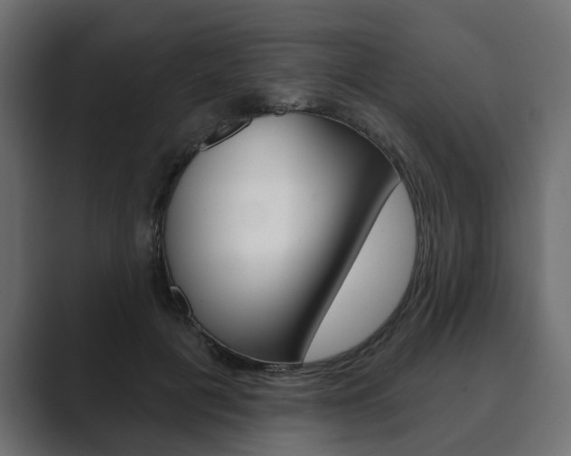 X0000089900601200706281136