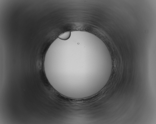 X0000089900602200706281136