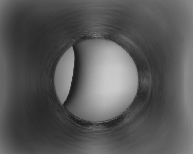 X0000089900603200706281136