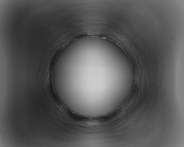 X0000089900604200706281136