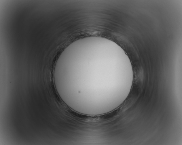 X0000089900606200706281136