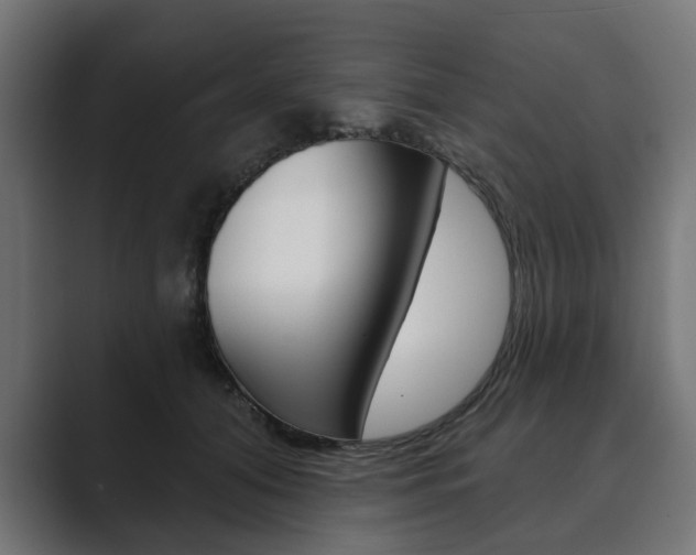 X0000089900608200706281136