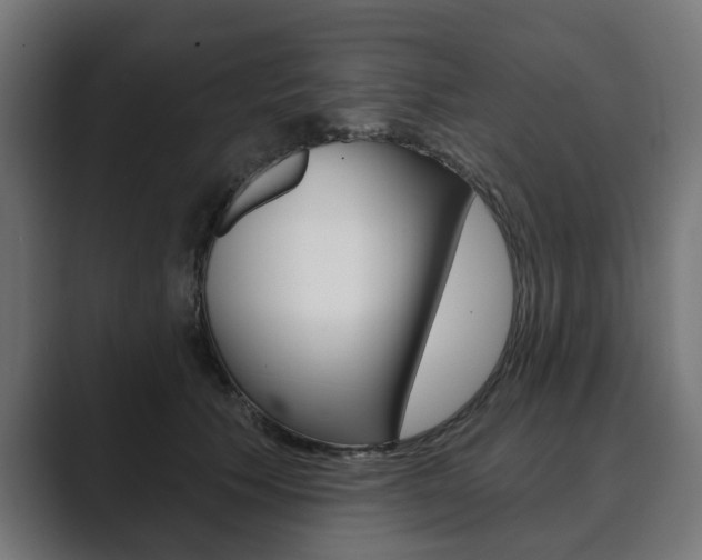 X0000089900609200706281136