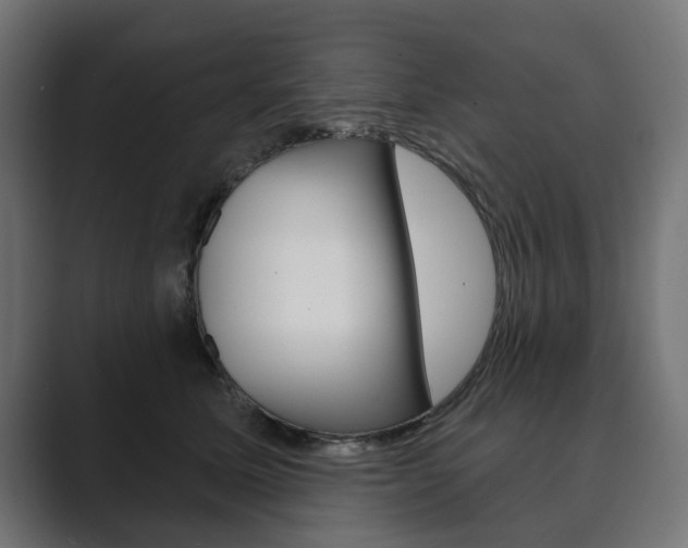 X0000089900611200706281136