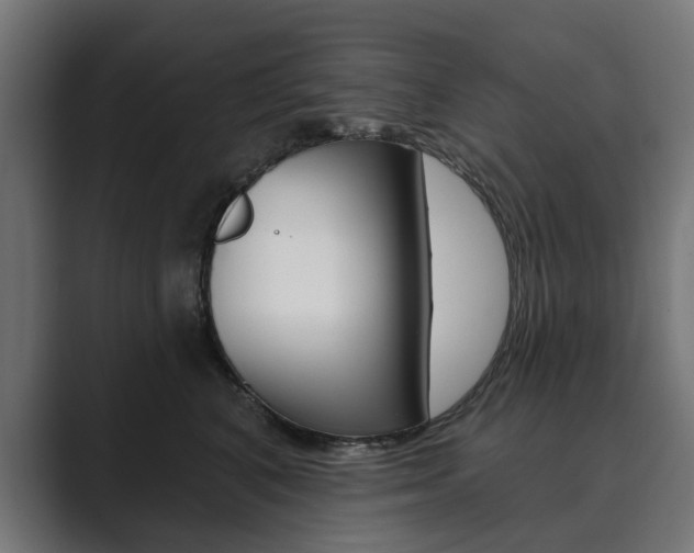 X0000089900616200706281136