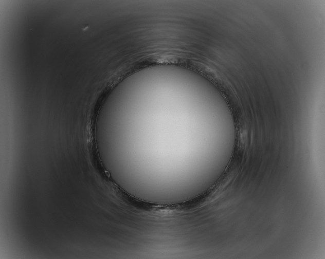 X0000089900620200706281136