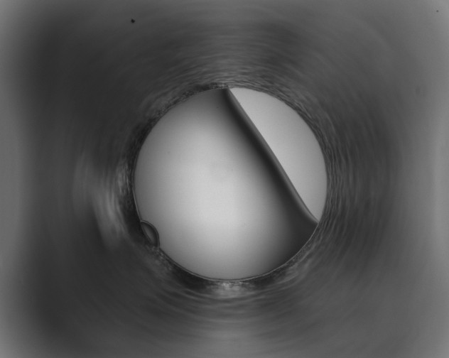 X0000089900623200706281136