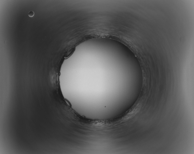 X0000089900624200706281136