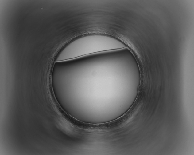 X0000089900625200706281135