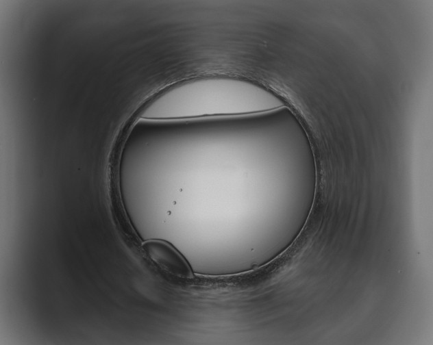 X0000089900626200706281135