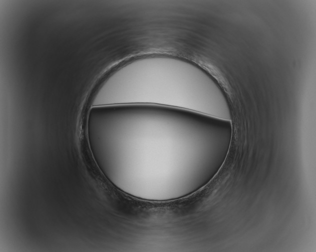 X0000089900628200706281135