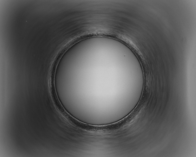 X0000089900629200706281135