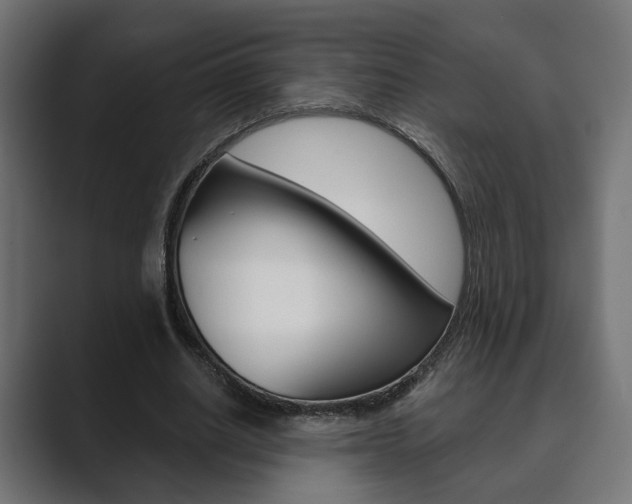 X0000089900630200706281135
