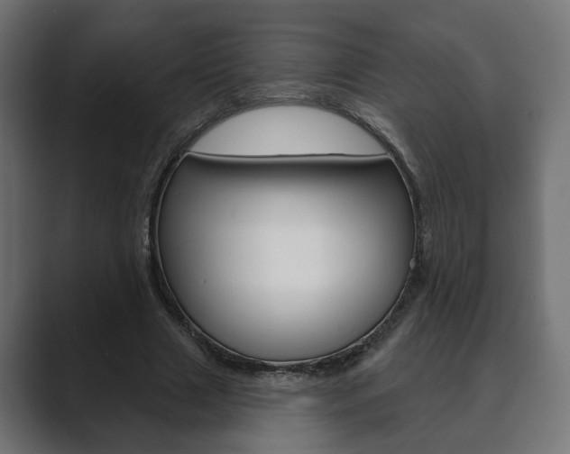 X0000089900633200706281136