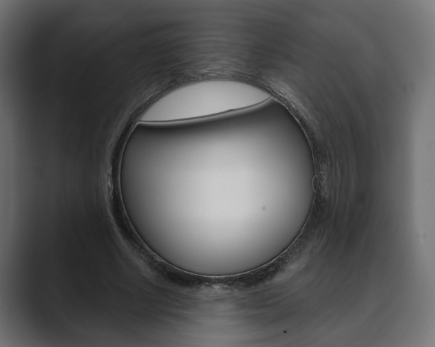 X0000089900634200706281136