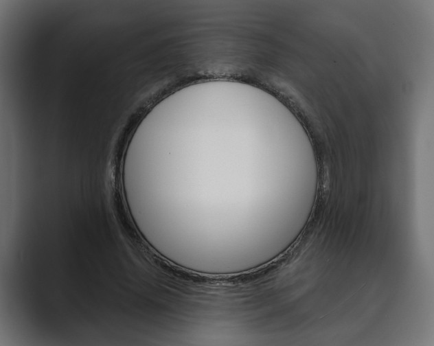 X0000089900636200706281136