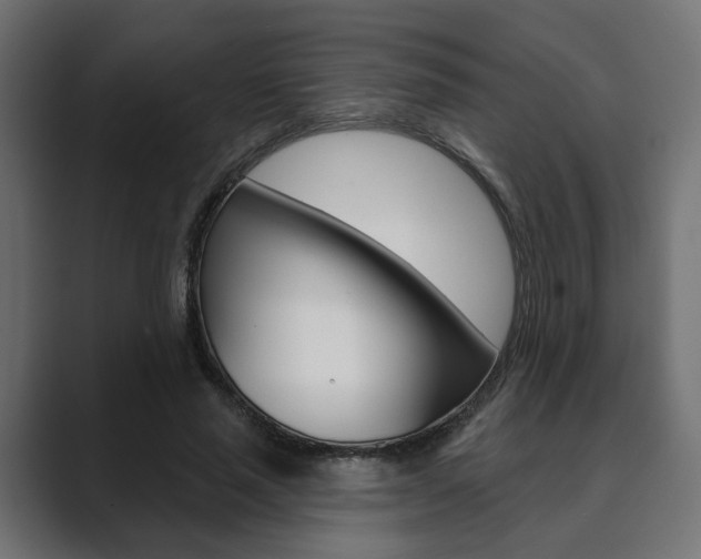 X0000089900637200706281136